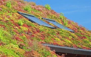 Nayland living roof systems