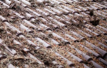 Nayland roof cleaning companies