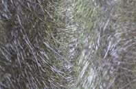 Nayland fibreglass roof work